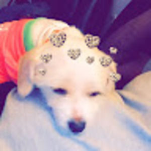 Meet your Posher, Marie